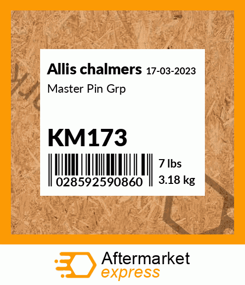 Master Pin Grp KM173
