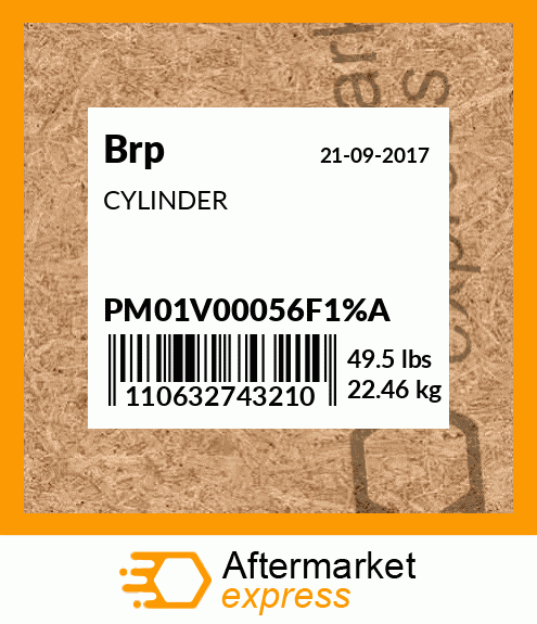 CYLINDER PM01V00056F1%A