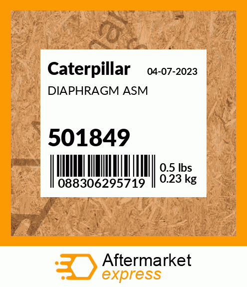 DIAPHRAGM ASM 501849