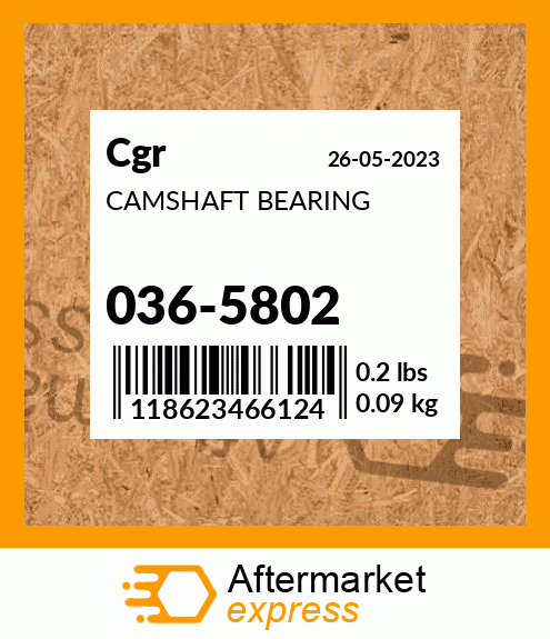 CAMSHAFT BEARING 036-5802