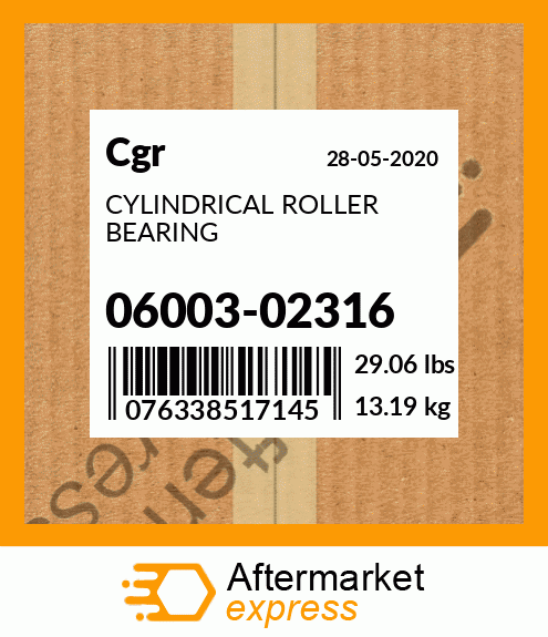 CYLINDRICAL ROLLER BEARING 06003-02316