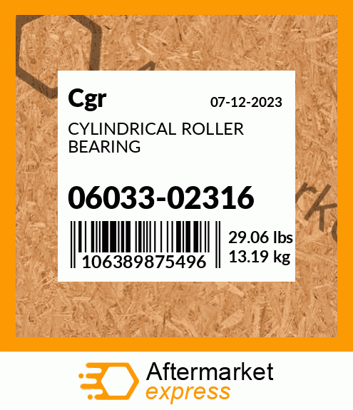 CYLINDRICAL ROLLER BEARING 06033-02316