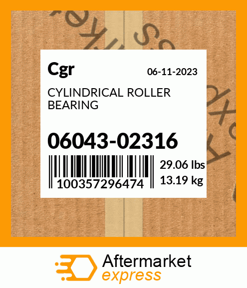 CYLINDRICAL ROLLER BEARING 06043-02316