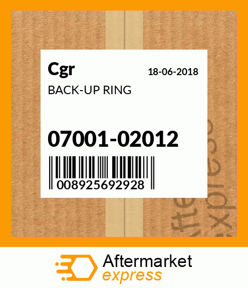 BACK-UP RING 07001-02012