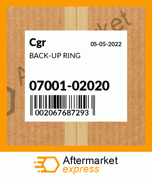 BACK-UP RING 07001-02020