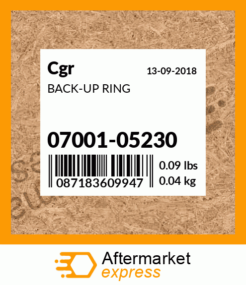 BACK-UP RING 07001-05230