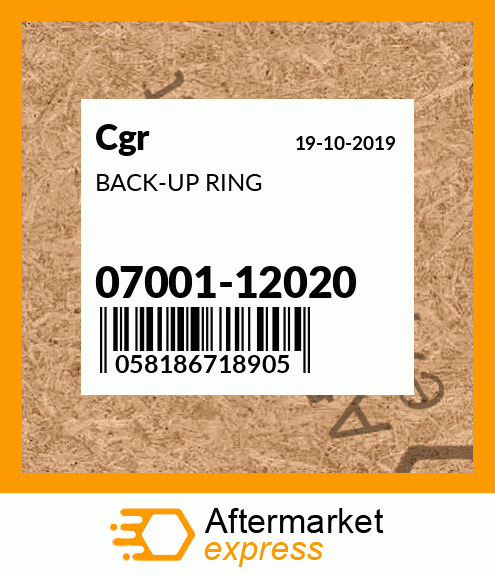 BACK-UP RING 07001-12020