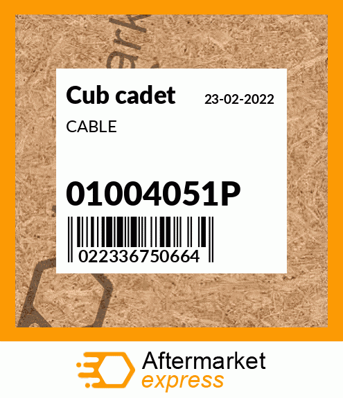CABLE 01004051P