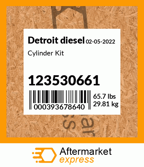 Cylinder Kit 123530661