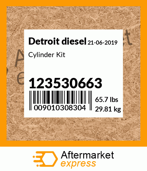Cylinder Kit 123530663