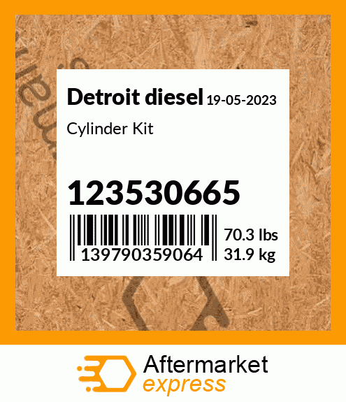 Cylinder Kit 123530665