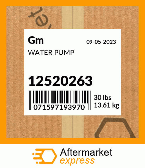 WATER PUMP 12520263