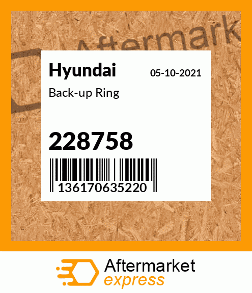 Back-up Ring 228758