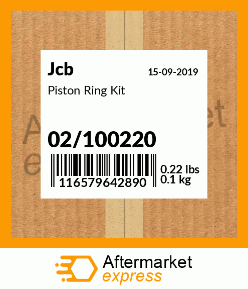 Piston Ring Kit 02/100220