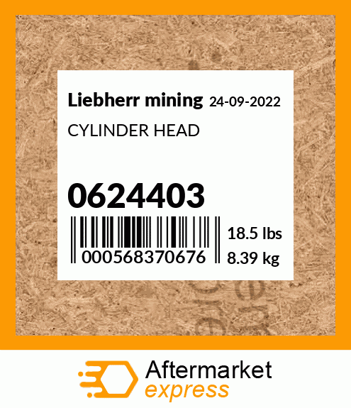 CYLINDER HEAD 0624403