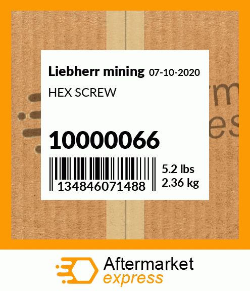 HEX SCREW 10000066