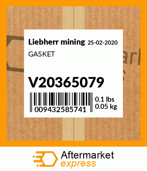GASKET V20365079