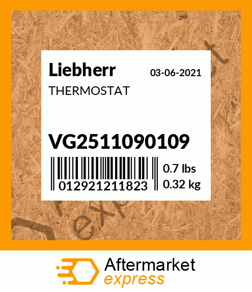 THERMOSTAT VG2511090109