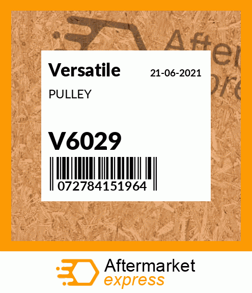 PULLEY V6029