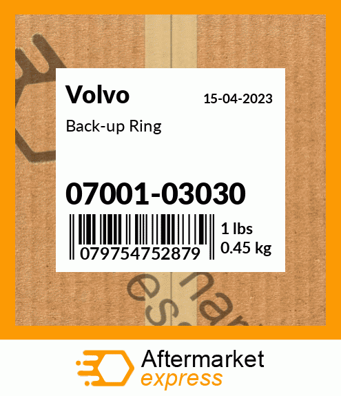 Back-up Ring 07001-03030
