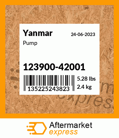 Pump 123900-42001