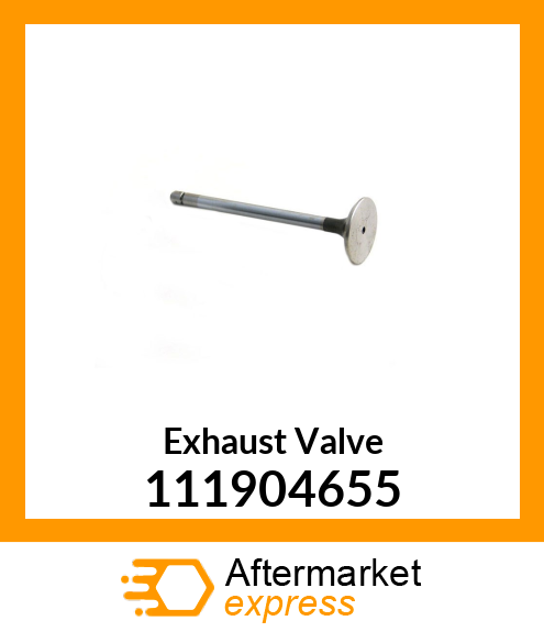 Exhaust Valve 111904655
