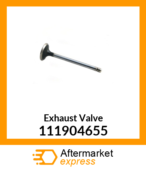 Exhaust Valve 111904655