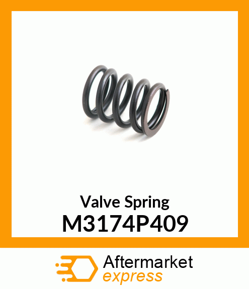 Valve Spring M3174P409