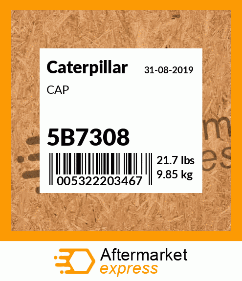 CAP 5B7308