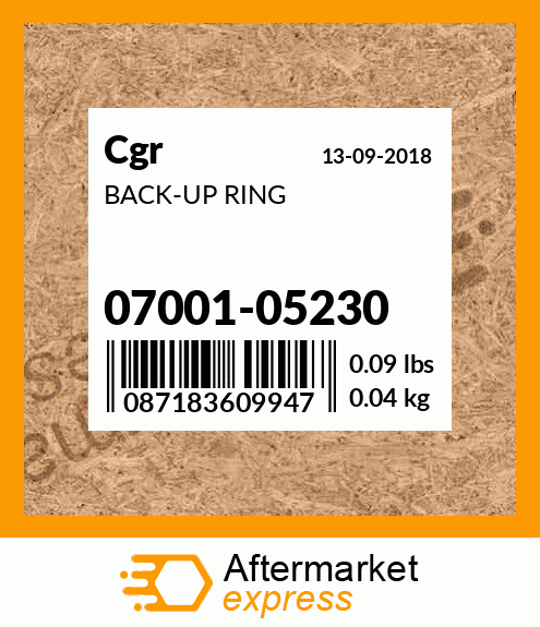 Spare part 07001-05230 + BACK-UP RING