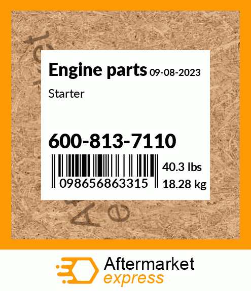 Spare part 600-813-7110 + Starter