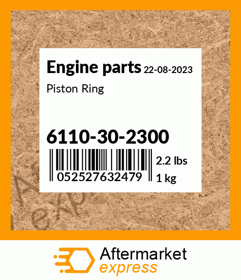 Spare part 6110-30-2300 + Piston Ring