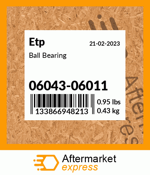 Ball Bearing 06043-06011