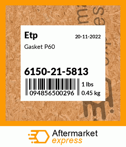 Gasket P60 6150-21-5813