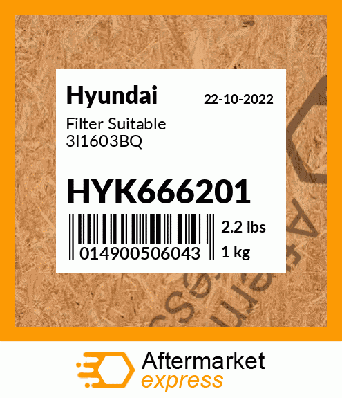 Spare part HYK666201 + Filter Suitable 3I1603BQ