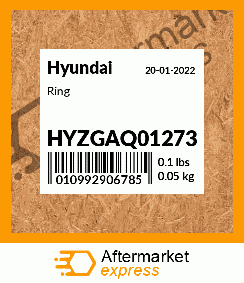 Spare part HYZGAQ01273 + Ring