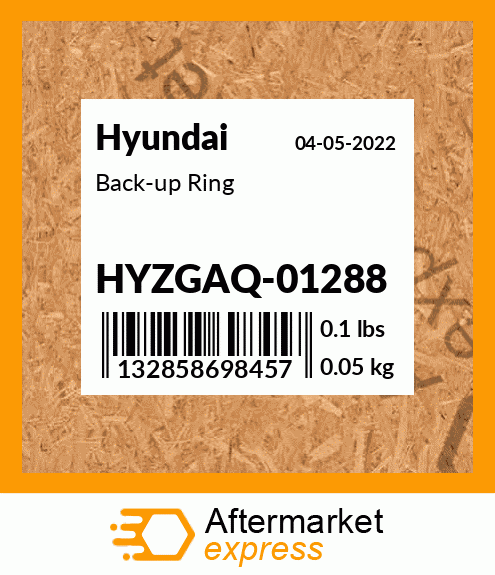 Spare part HYZGAQ-01288 + Back-up Ring