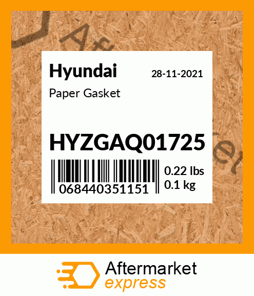 Spare part HYZGAQ01725 + Paper Gasket