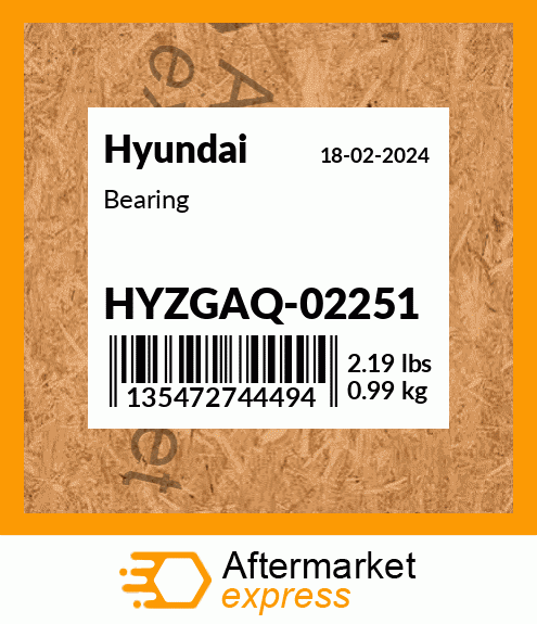 Spare part HYZGAQ02251 + Bearing