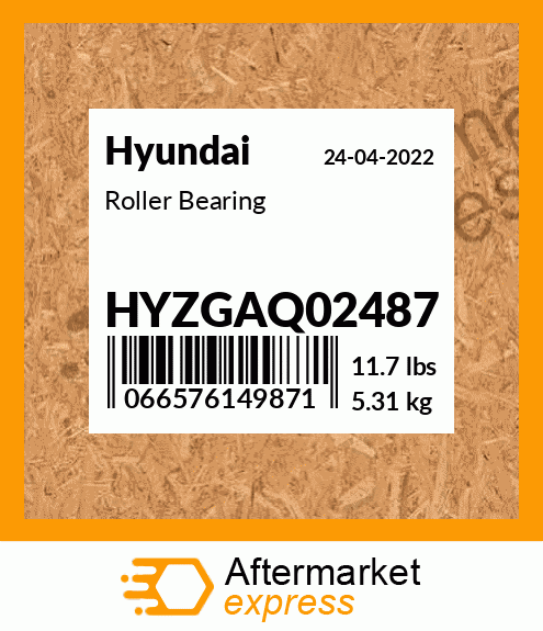 Spare part HYZGAQ02487 + Roller Bearing