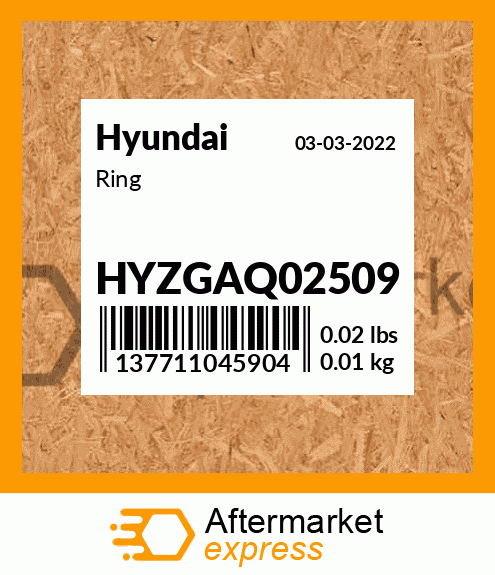 Spare part HYZGAQ02509 + Ring