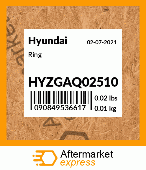 Spare part HYZGAQ02510 + Ring