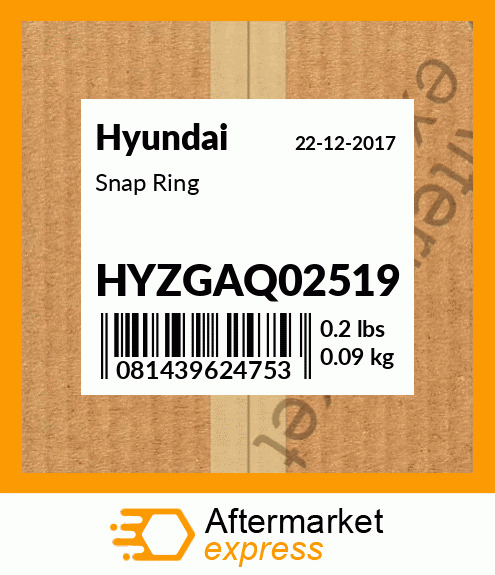 Spare part HYZGAQ02519 + Snap Ring