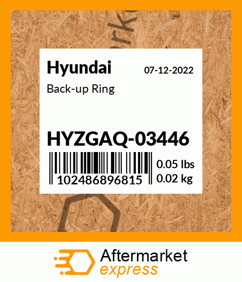 Spare part HYZGAQ-03446 + Back-up Ring