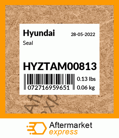 Spare part HYZTAM00813 + Seal