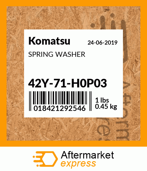 Spare part 42Y-71-H0P03 + SPRING WASHER