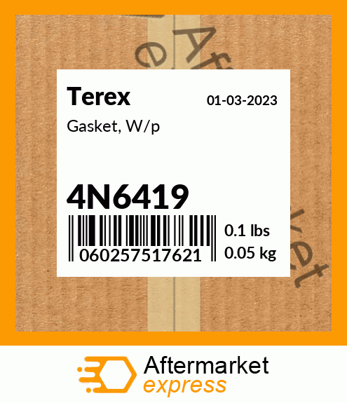 Spare part 4N6419 + Gasket, W/p