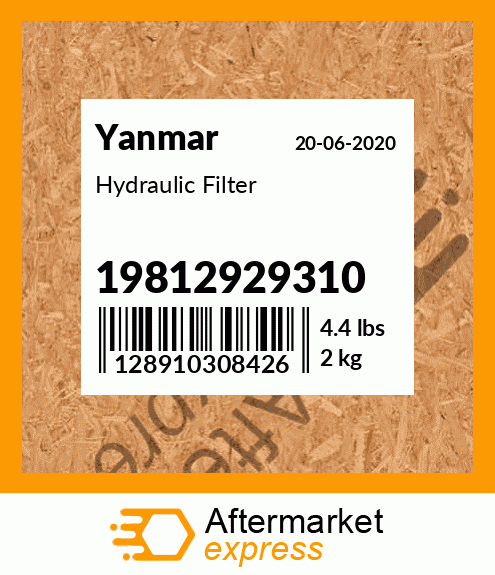 Spare part 19812929310 + Hydraulic Filter