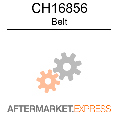Belt CH16856