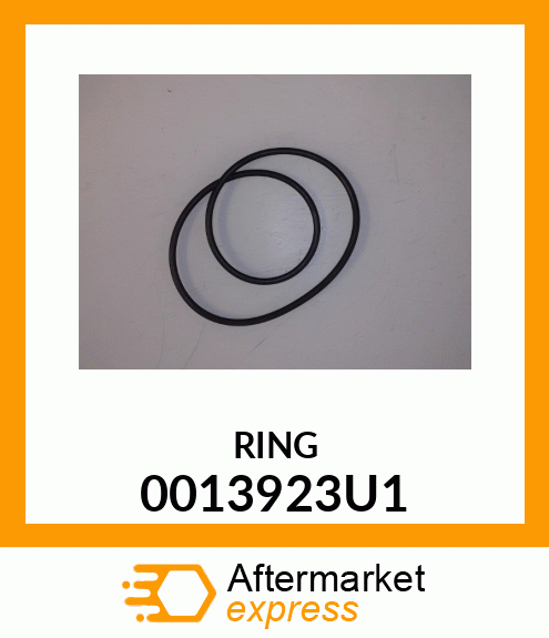 Spare part 0013923U1 + RING